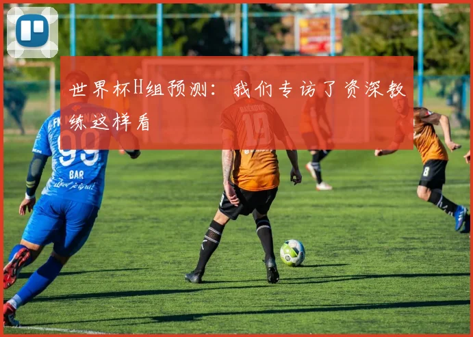 世界杯H组预测:我们专访了资深教练这样看