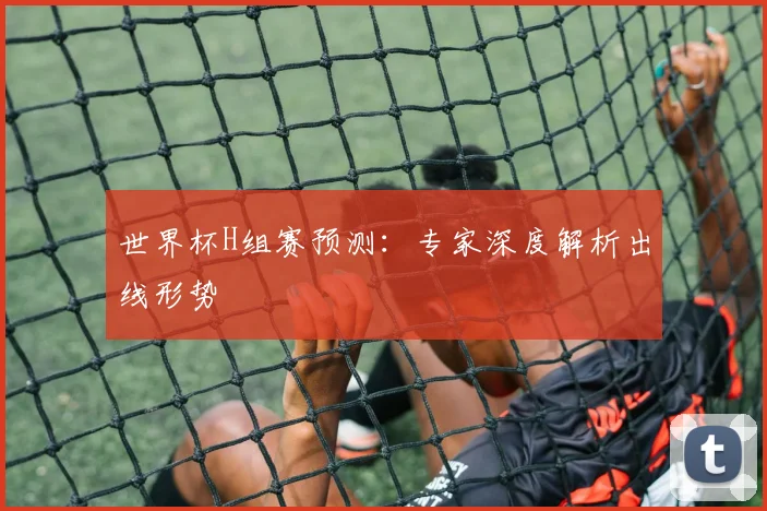 世界杯H组赛预测：专家深度解析出线形势