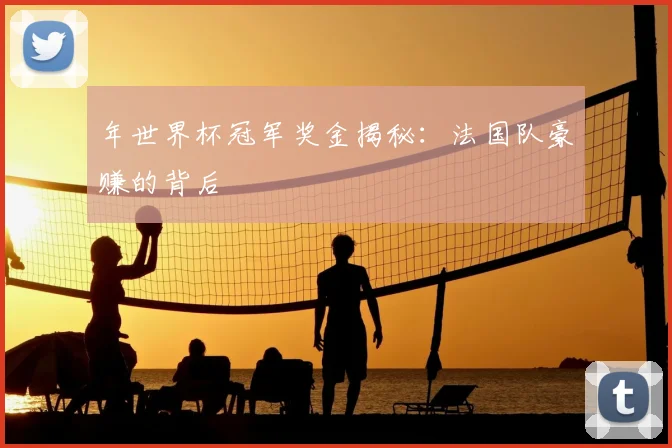 年世界杯冠军奖金揭秘：法国队豪赚的背后