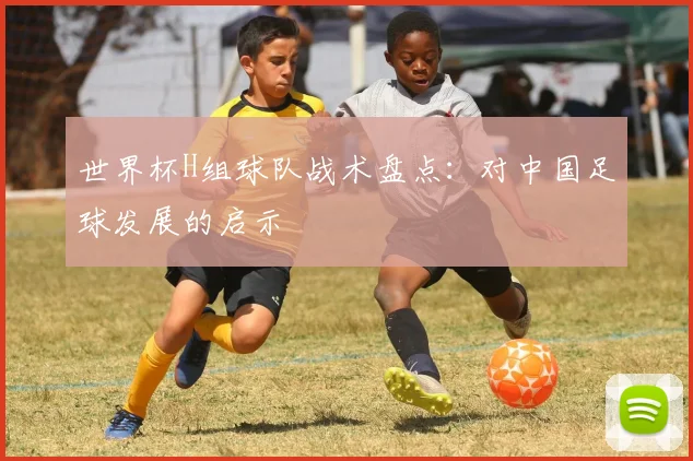 世界杯H组球队战术盘点:对中国足球发展的启示