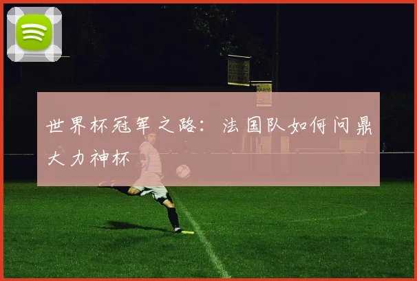 世界杯冠军之路:法国队如何问鼎大力神杯