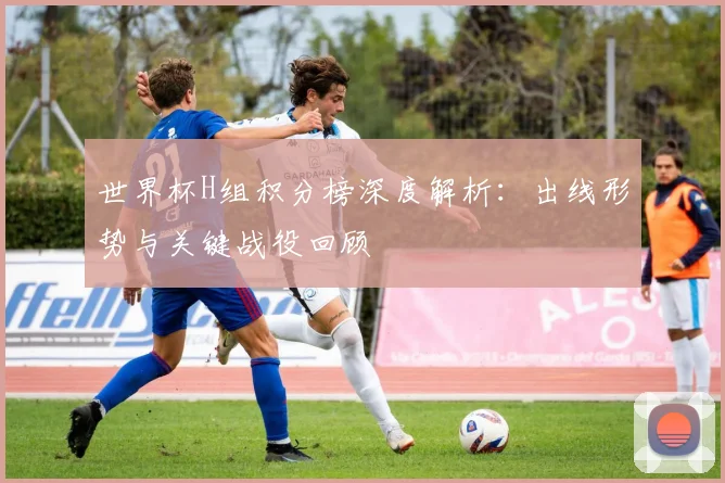 世界杯H组积分榜深度解析:出线形势与关键战役回顾