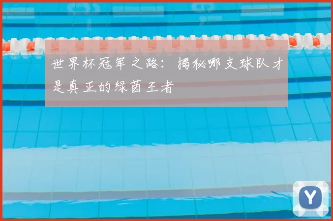 世界杯冠军之路:揭秘哪支球队才是真正的绿茵王者