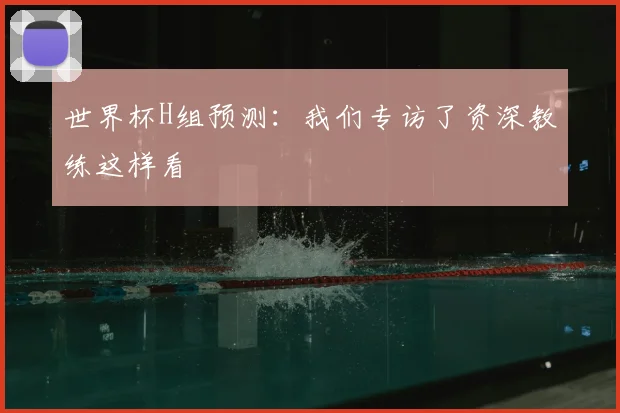 世界杯H组预测:我们专访了资深教练这样看