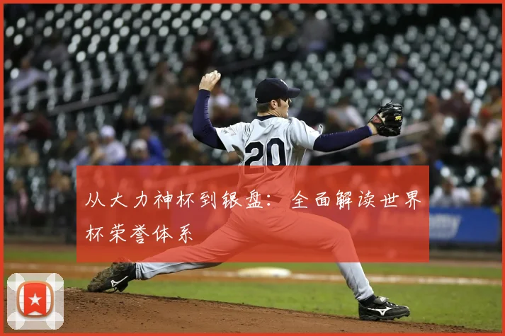 从大力神杯到银盘：全面解读世界杯荣誉体系